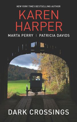 Title details for Dark Crossings: The Covered Bridge\Fallen in Plain Sight\Outside the Circle by Karen Harper - Available